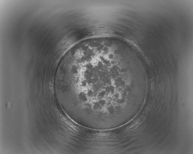 X0000058781409200510071557