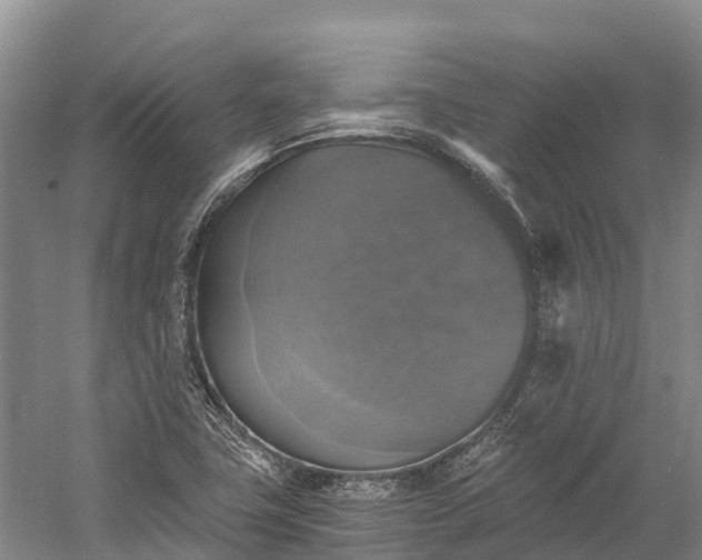 X0000058781411200510071557