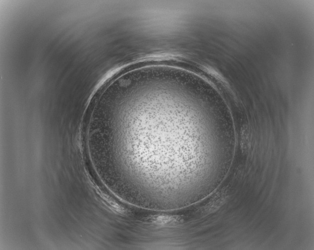 X0000058781412200510071557