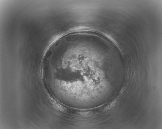 X0000058781413200510071557