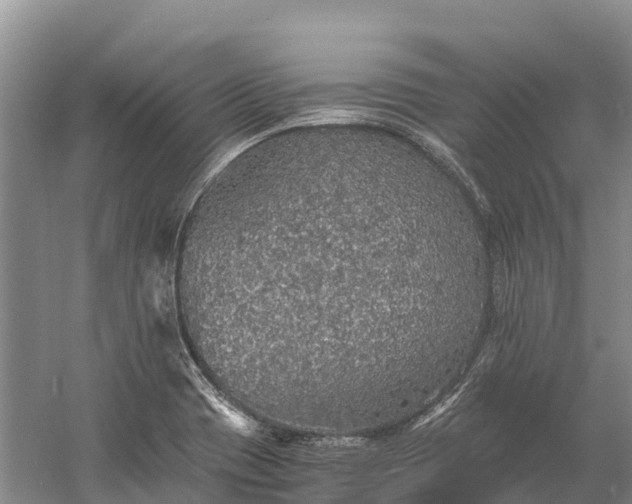 X0000058781417200510071557