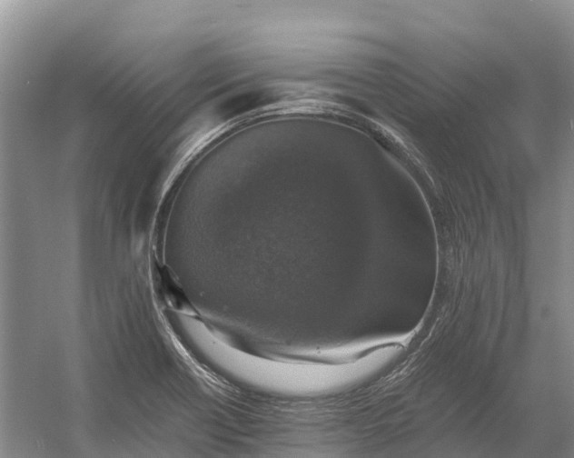 X0000058781418200510071557