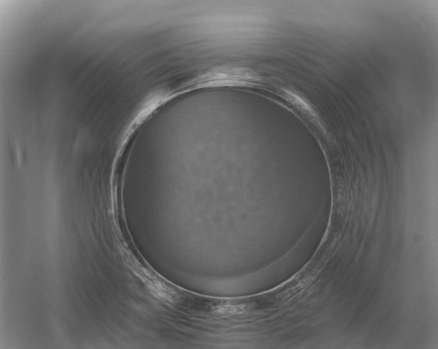 X0000058781419200510071557