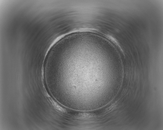 X0000058781420200510071557