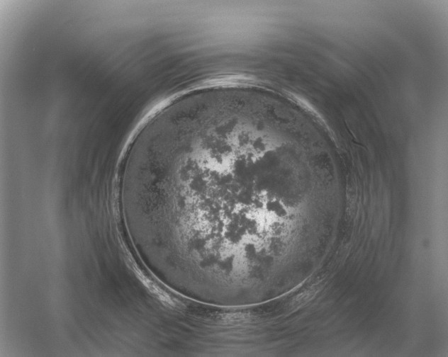 X0000058781421200510071557