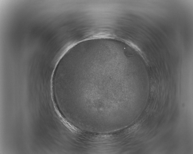 X0000058781423200510071557