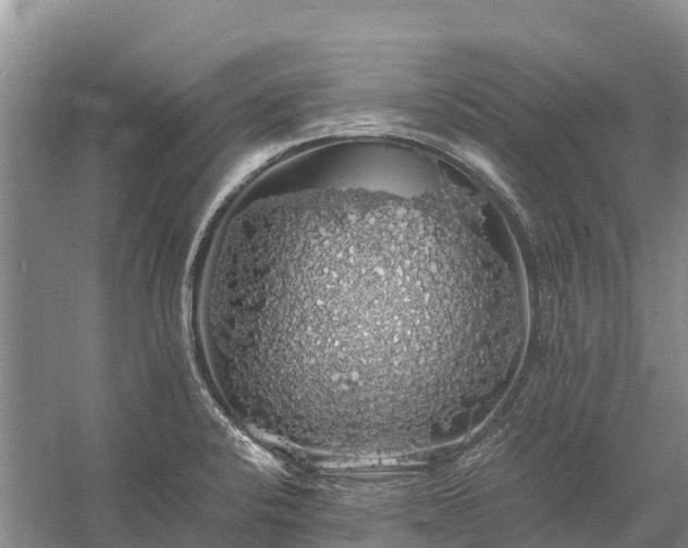 X0000058781424200510071557