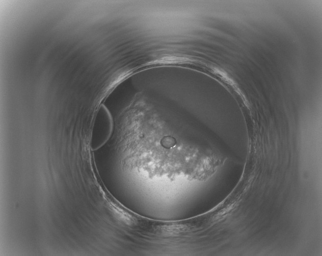 X0000058781425200510071557