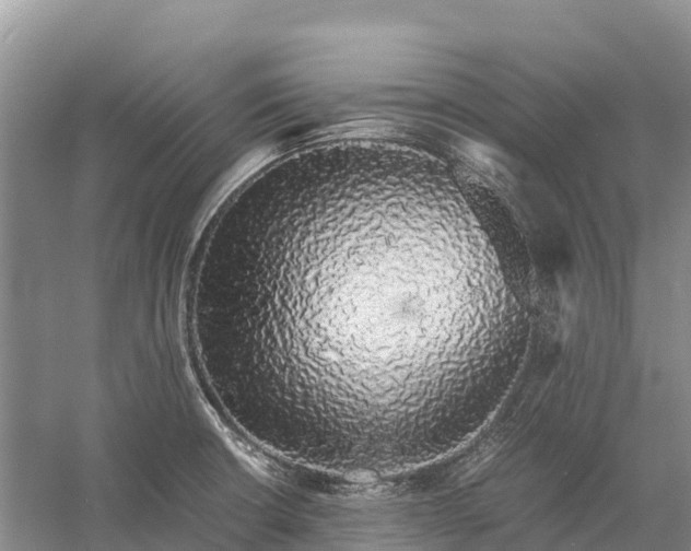 X0000058781426200510071557