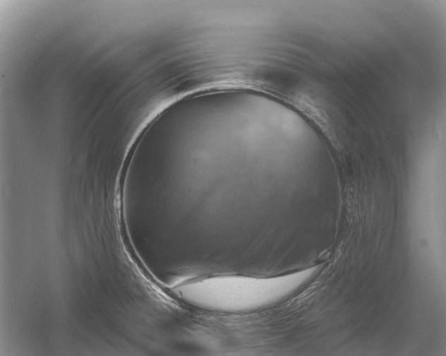 X0000058781428200510071557