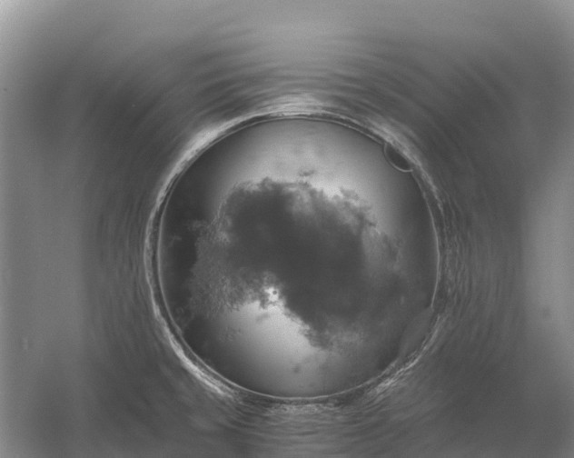 X0000058781429200510071557