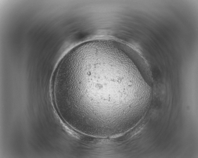 X0000058781430200510071557