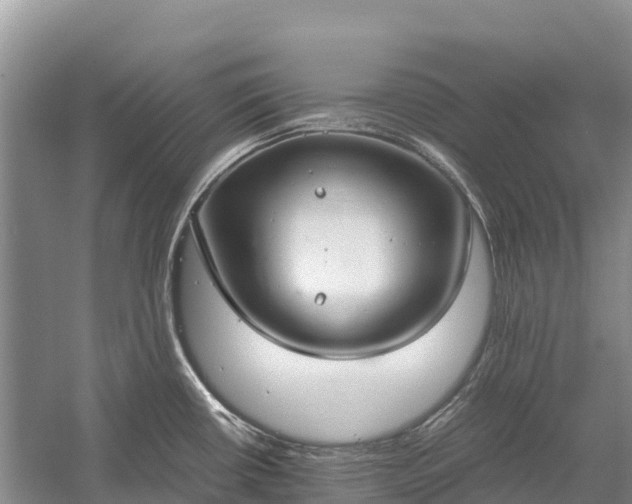 X0000058781434200510071557