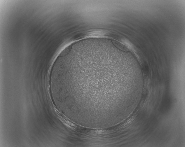 X0000058781435200510071557