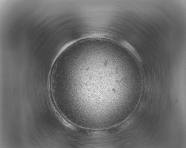 X0000058781436200510071557