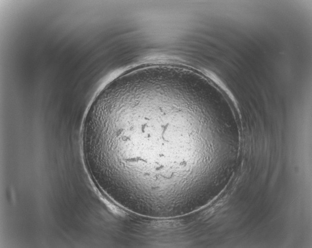 X0000058781437200510071557