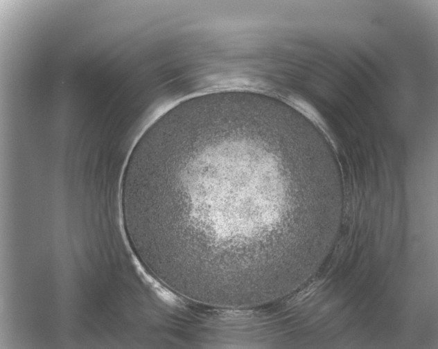 X0000058781439200510071557