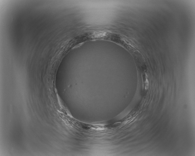 X0000058781441200510071556