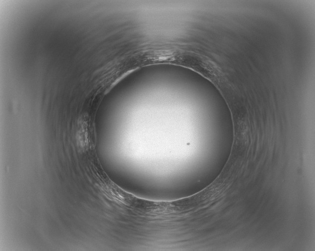 X0000058781442200510071556