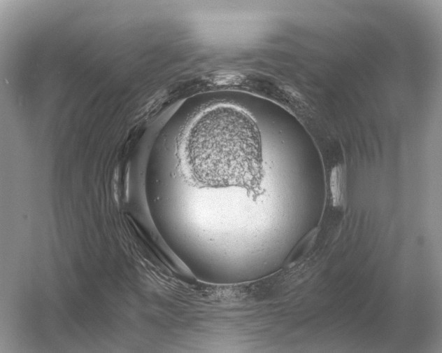 X0000058781443200510071556