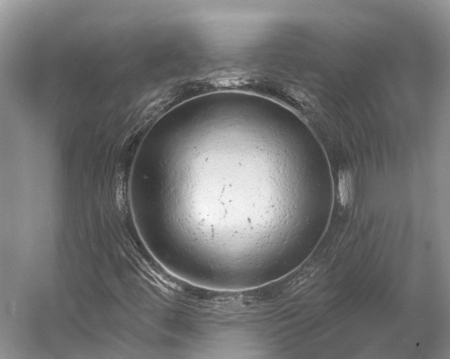 X0000058781444200510071556