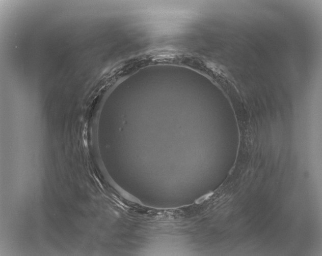 X0000058781445200510071556