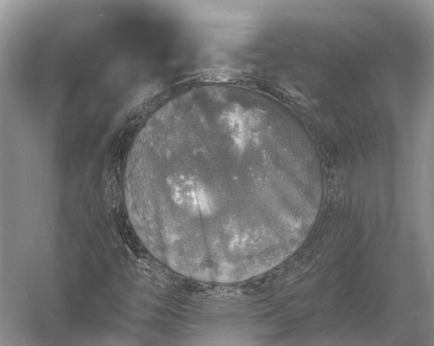 X0000058781446200510071556