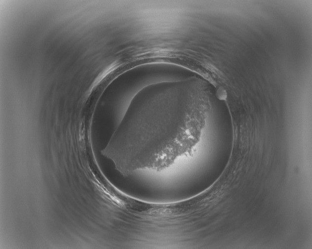 X0000058781450200510071556