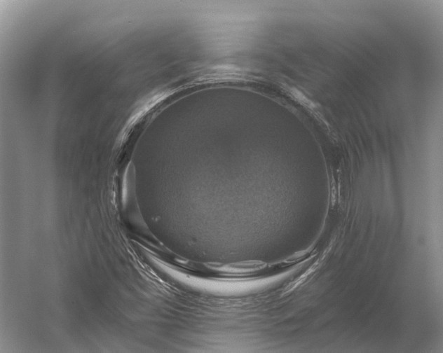 X0000058781453200510071556