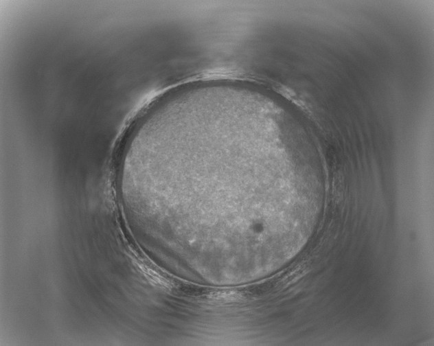 X0000058781454200510071556