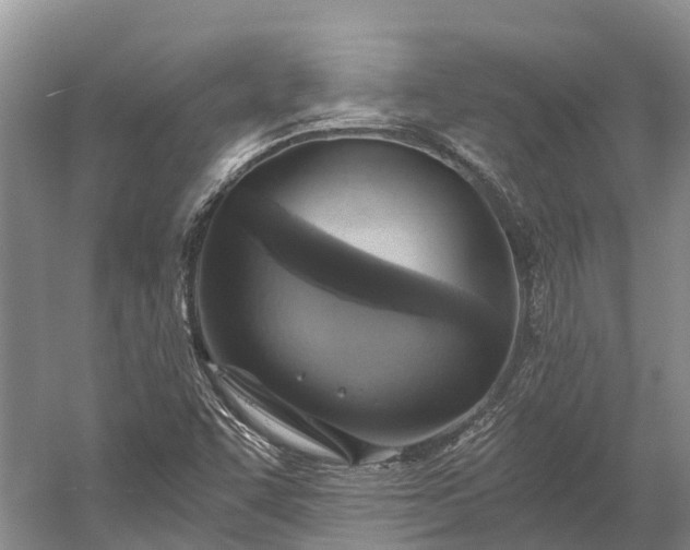 X0000058781455200510071556