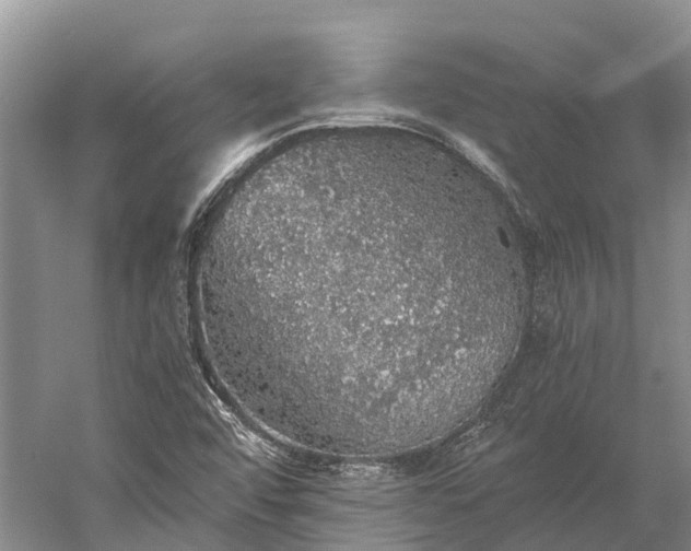 X0000058781456200510071556