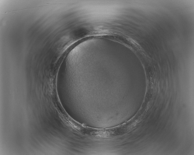 X0000058781457200510071556