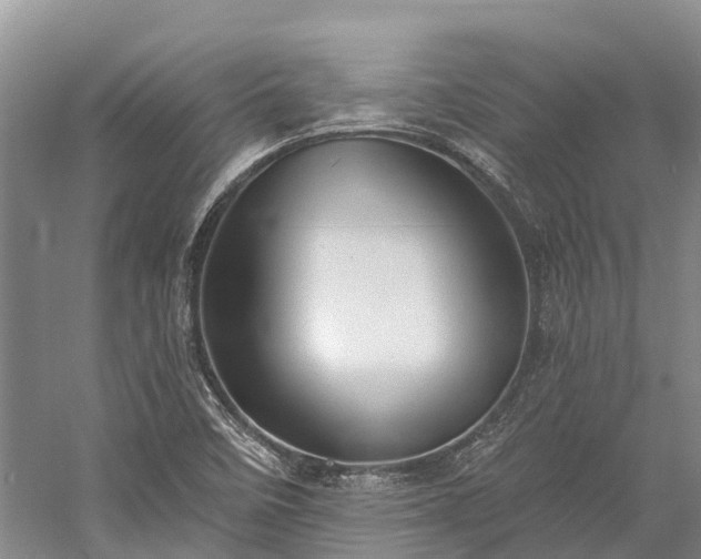 X0000058781458200510071556