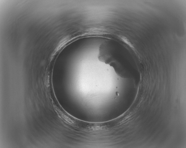 X0000058781459200510071556