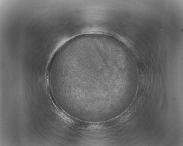 X0000058781462200510071556