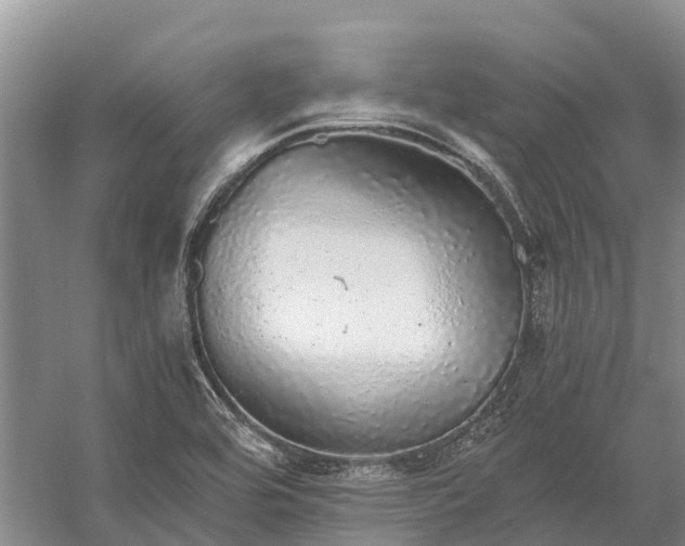 X0000058781464200510071556