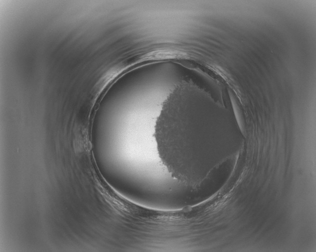 X0000058781465200510071556