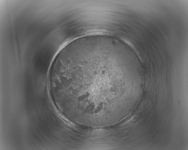 X0000058781467200510071556