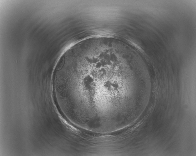 X0000058781471200510071556