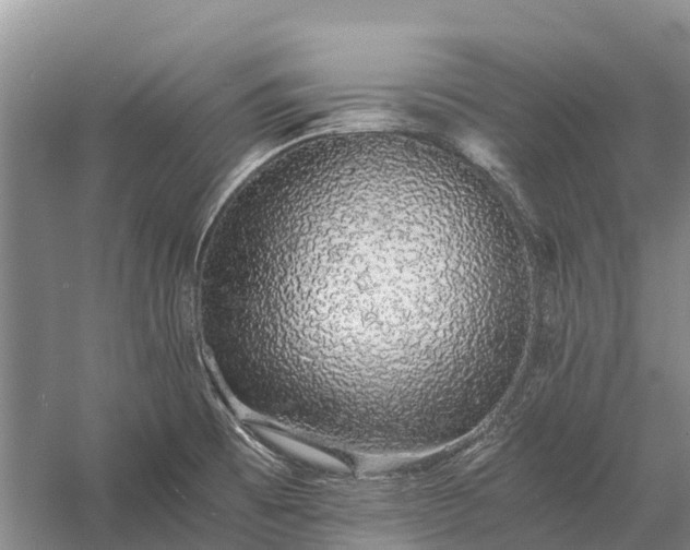 X0000058781473200510071556