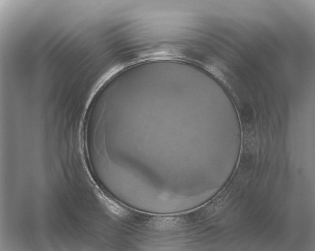 X0000058781474200510071556