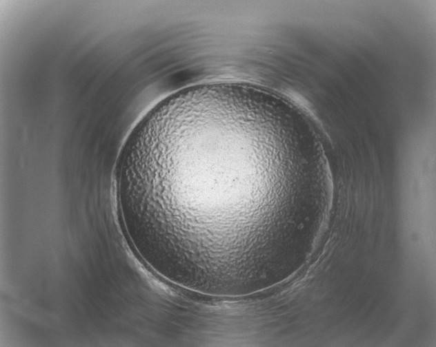 X0000058781476200510071556