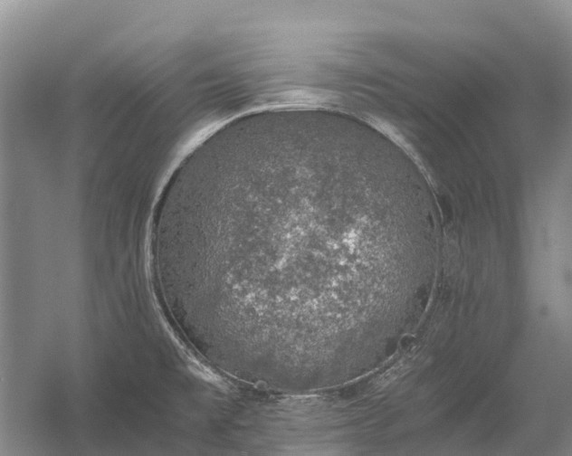 X0000058781477200510071556