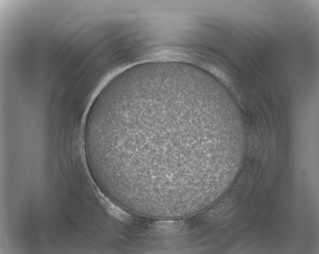 X0000058781478200510071556