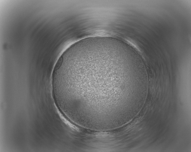 X0000058781479200510071556