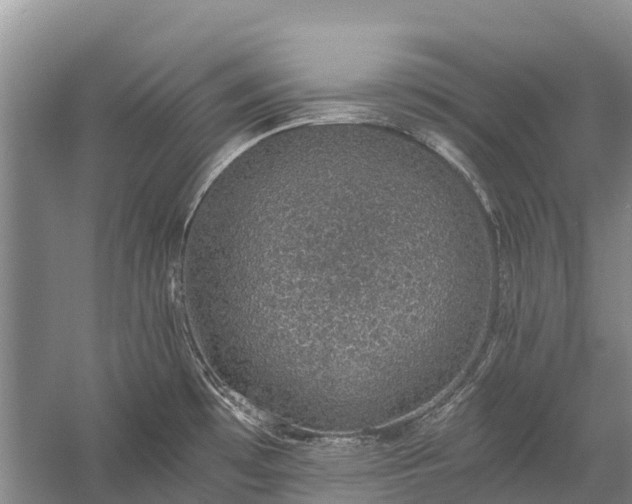 X0000058781481200510071556