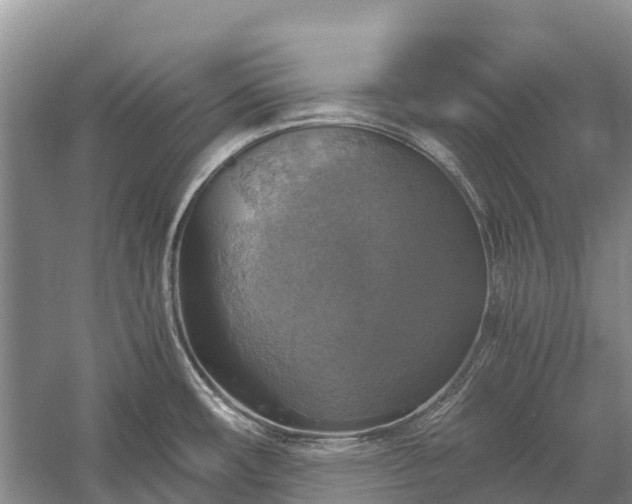 X0000058781482200510071556