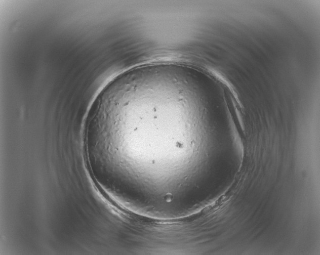 X0000058781483200510071556