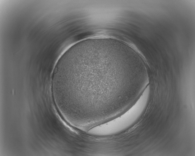 X0000058781484200510071556